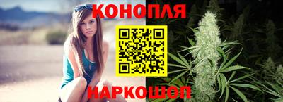 mdpv Славгород