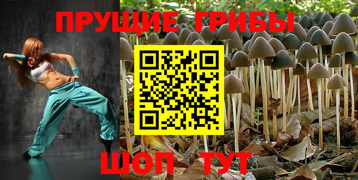 Псилоцибиновые грибы Magic Shrooms  Галлюциногенные грибы Cubensis  Саяногорск  Вход с VPN 
